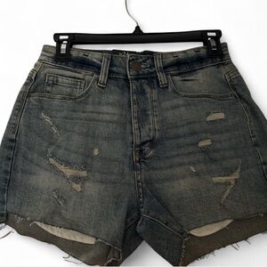 Treasure & Bond Blue Distressed Jean Shorts size 24 foster boyfriend high rise